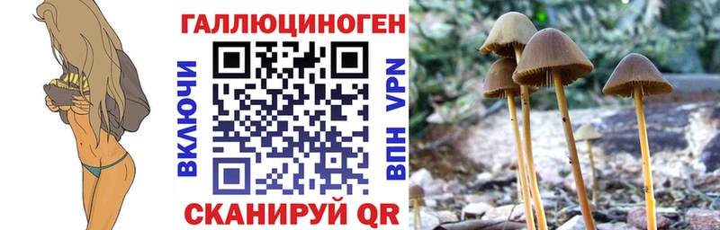 Галлюциногенные грибы GOLDEN TEACHER  Иркутск 